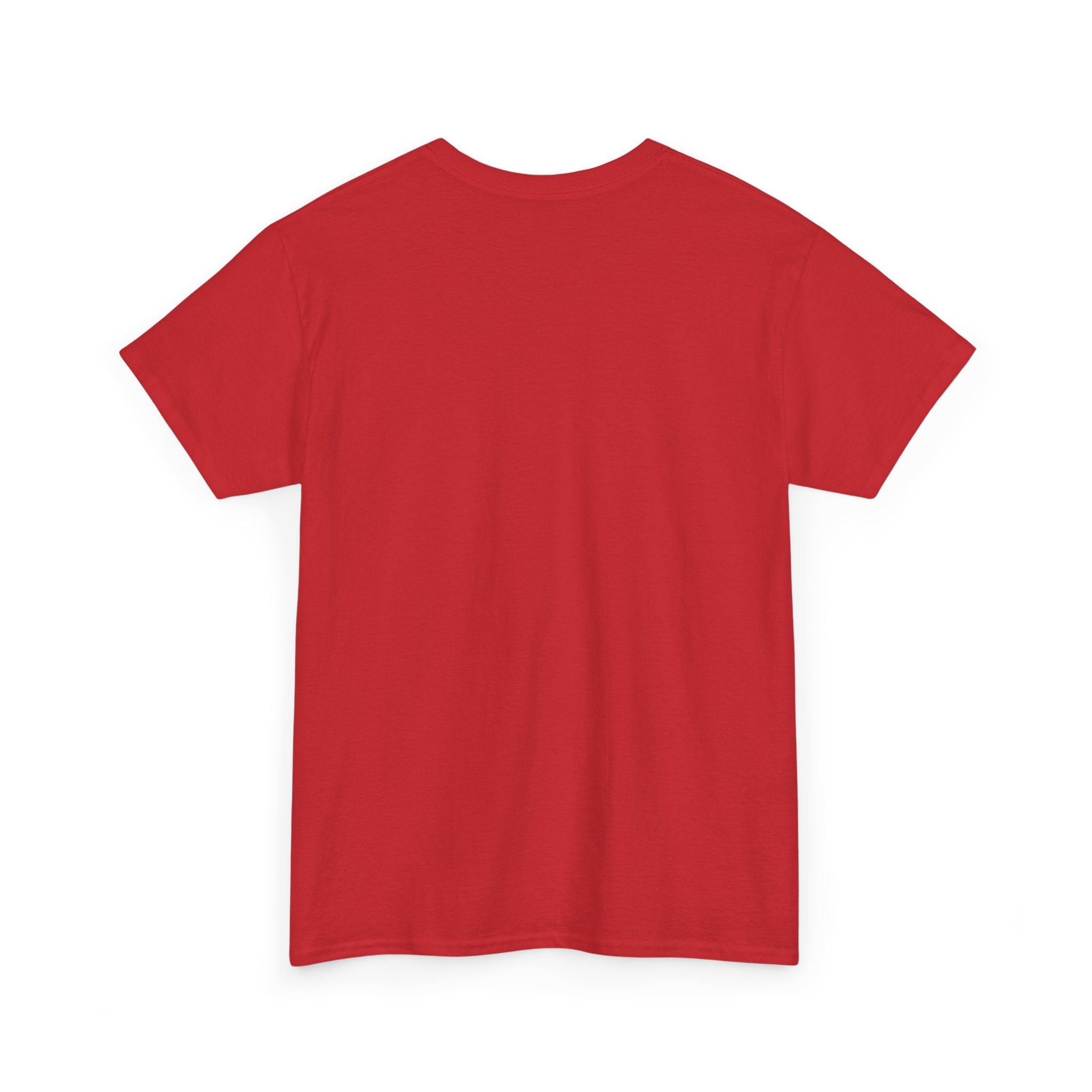 T-Shirt — "I have an Aunt Artica... She's always cold" Funny Family Humor Tee
